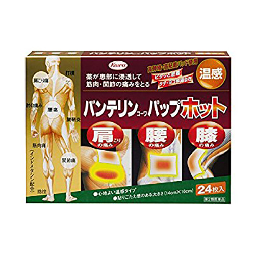 반테린 코와 파프 핫 온열 파스 24매입