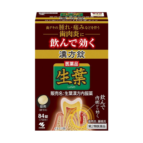 생잎한방정 84정