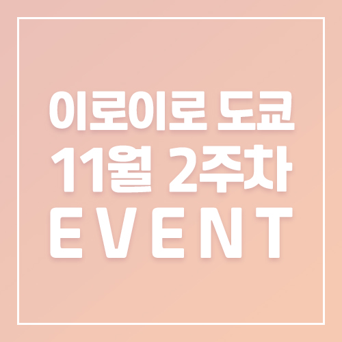 11월2주차이로이로