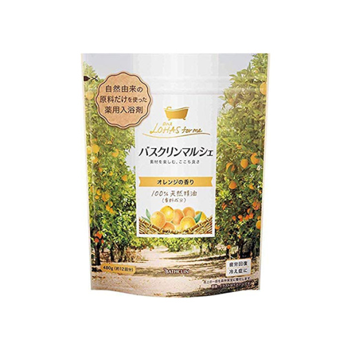 버스크린 마르쉐 오렌지 향기 480g