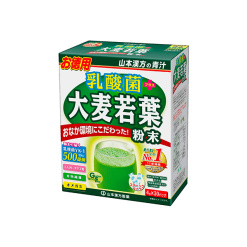 유산균 보리 새잎 말 덕용 4gx30 포