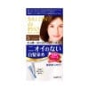 다리야 일본 살롱드프로 염색크림백발용 염색 크림 5내추럴 브라운