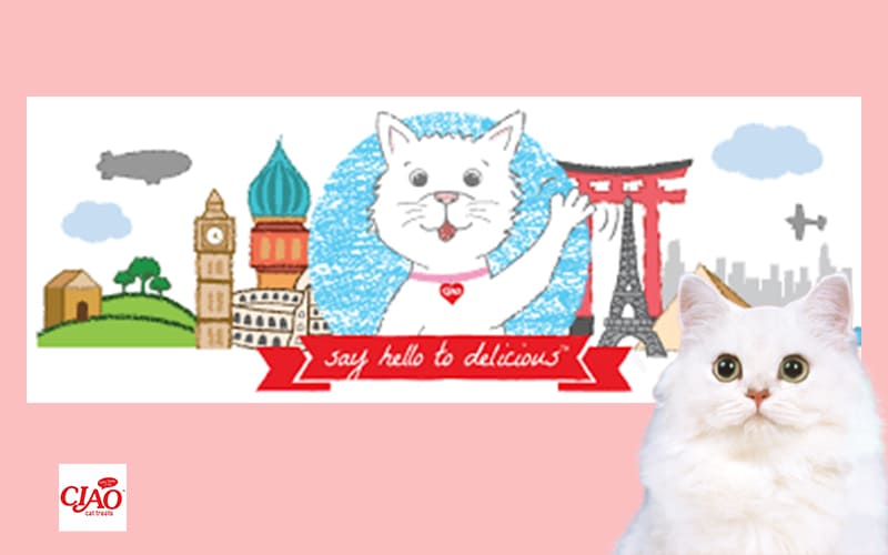 6.02 베스트상품 11