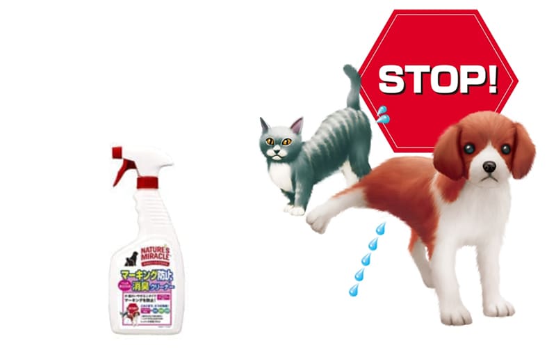 6.02 베스트상품 8