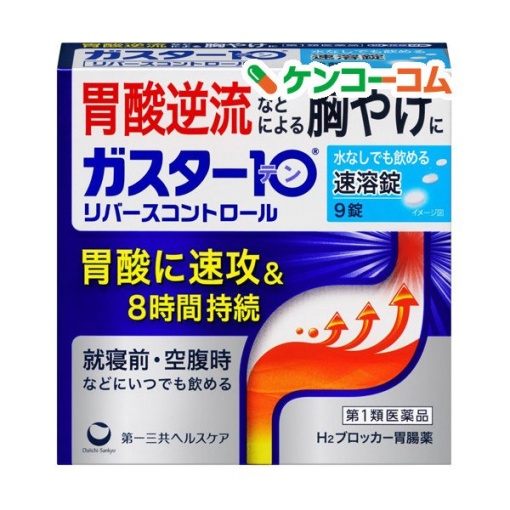 가스타 10s정 9정