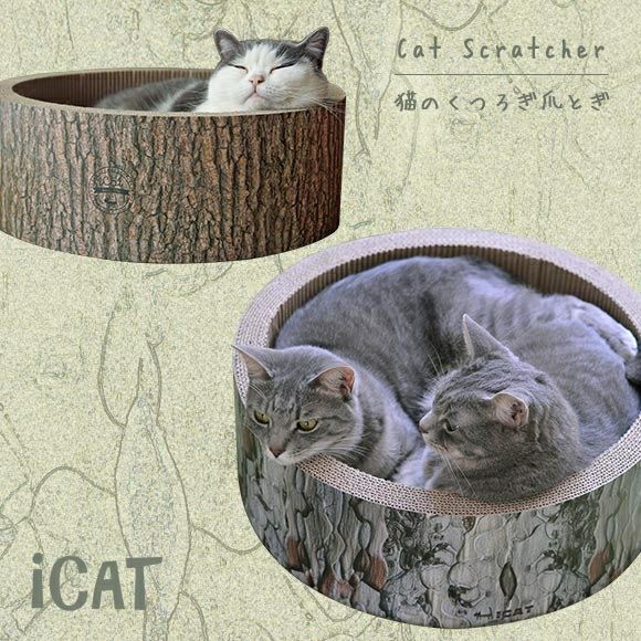 그루터기 썸네일