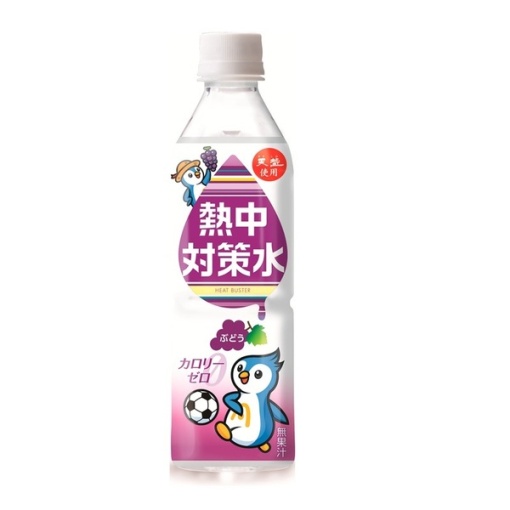 4901291991731 main l