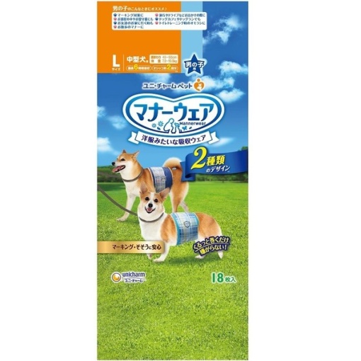 4520699626542 main l