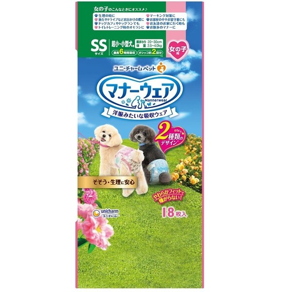 4520699627525 main l