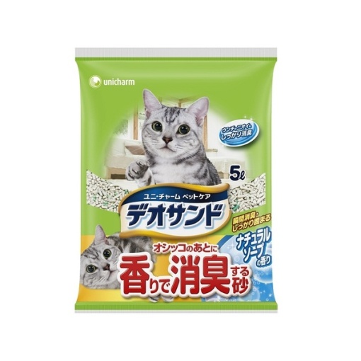 4520699651681 main l