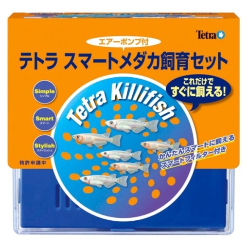 4560147396207 main l