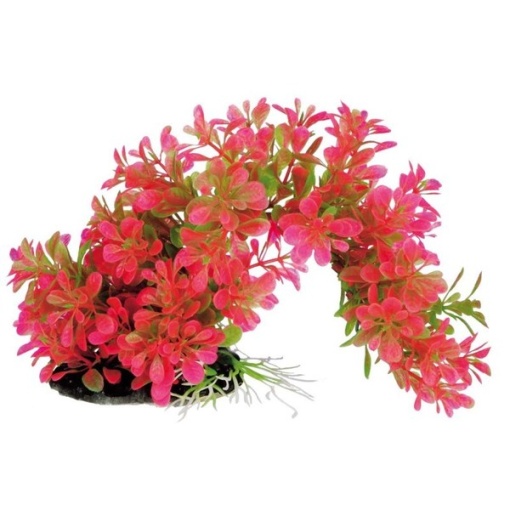 4560147397747 main l