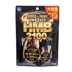 4573261220396 main l