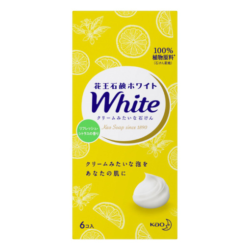 4901301309266 main l