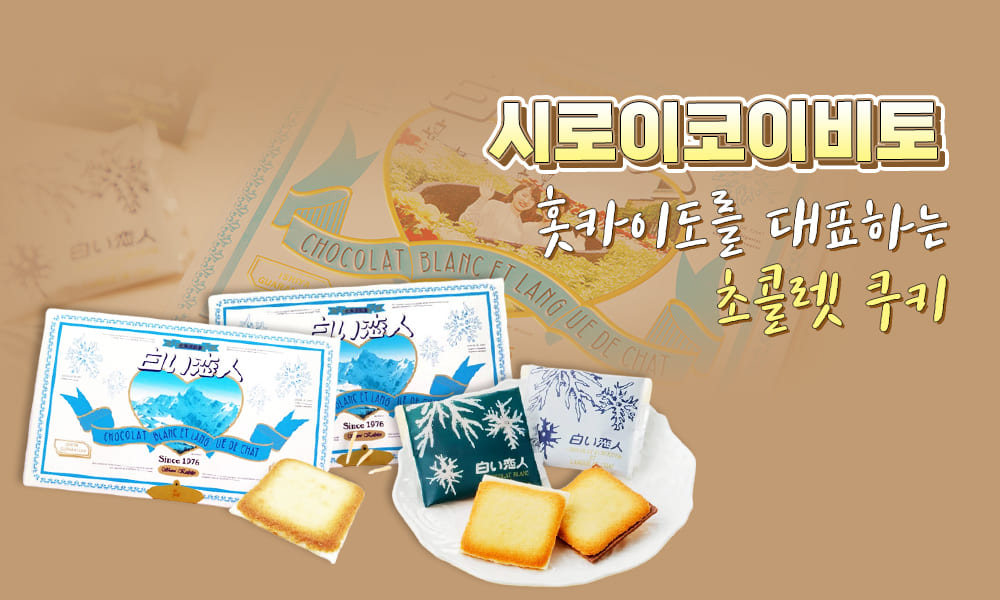 시로이코이비토 1000x600 1