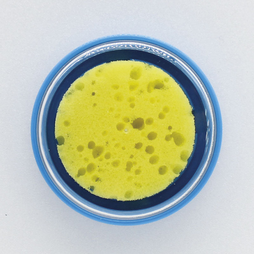 1yAnDxQf26GDSdIxR V4RFmppXrGk4wJb 1024x