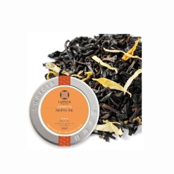 루피시아 넵튠 50g 캔