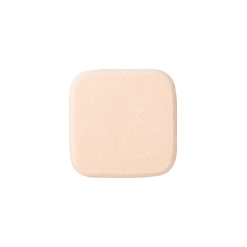 코세 코스메 데코르테 AQ 페이스 브러쉬