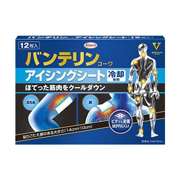 반테린 코와 아이싱 시트 12개