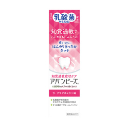 와카모토제약 어반 비즈 지각 과민 증상 케어 80g