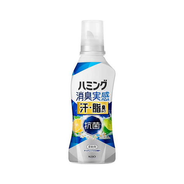 카오 허밍 탈취 실감 땀냄새 체취 클리어 시트러스 본체 500mL