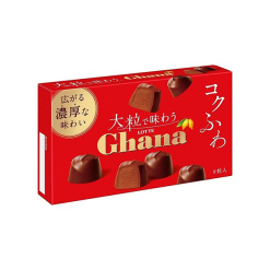 롯데 대형 가나 초콜릿 9개입